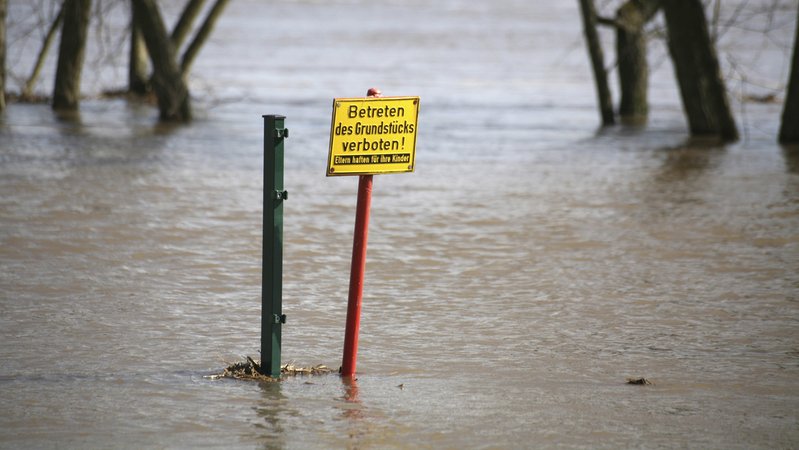 Überschwemmtes Grundstück an der Weser in Rinteln (Archivbild) | Bild: picture alliance / blickwinkel/McPHOTO/M. Berg | McPHOTO/M. Berg Überschwemmtes Grundstück an der Weser in Rinteln (Archivbild)