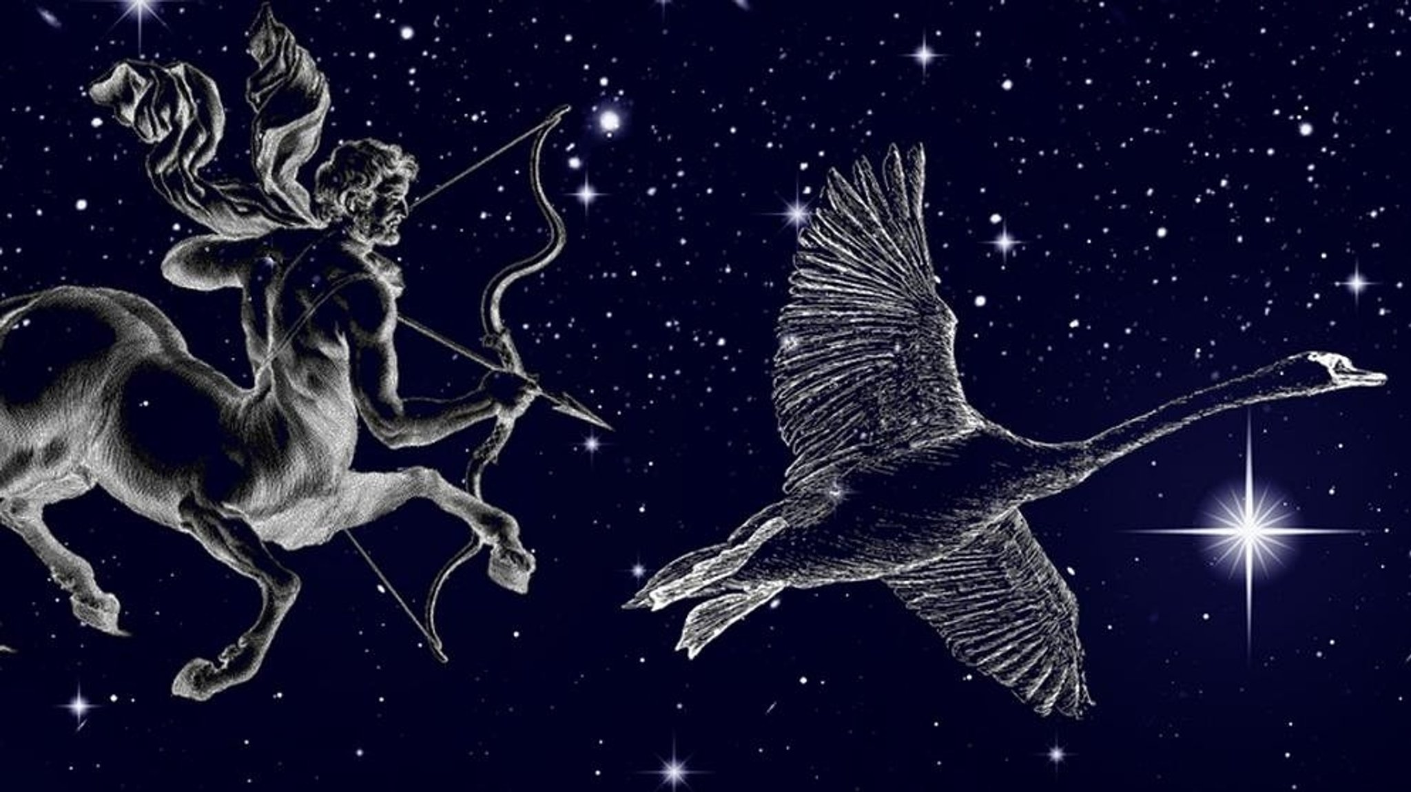 Illustration der Sternbilder Schwan und Schütze vor dem Sternenhimmel