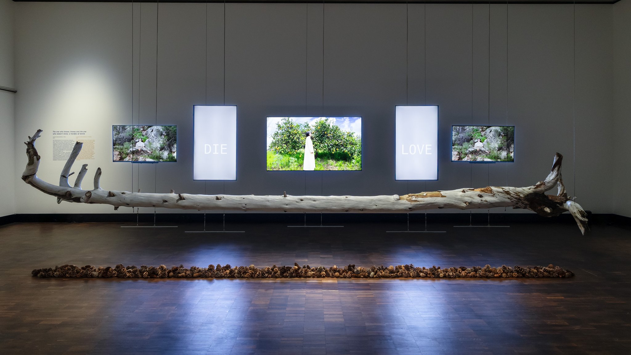 Bild Hori Izhaki – To Plant a Memory, 2023 