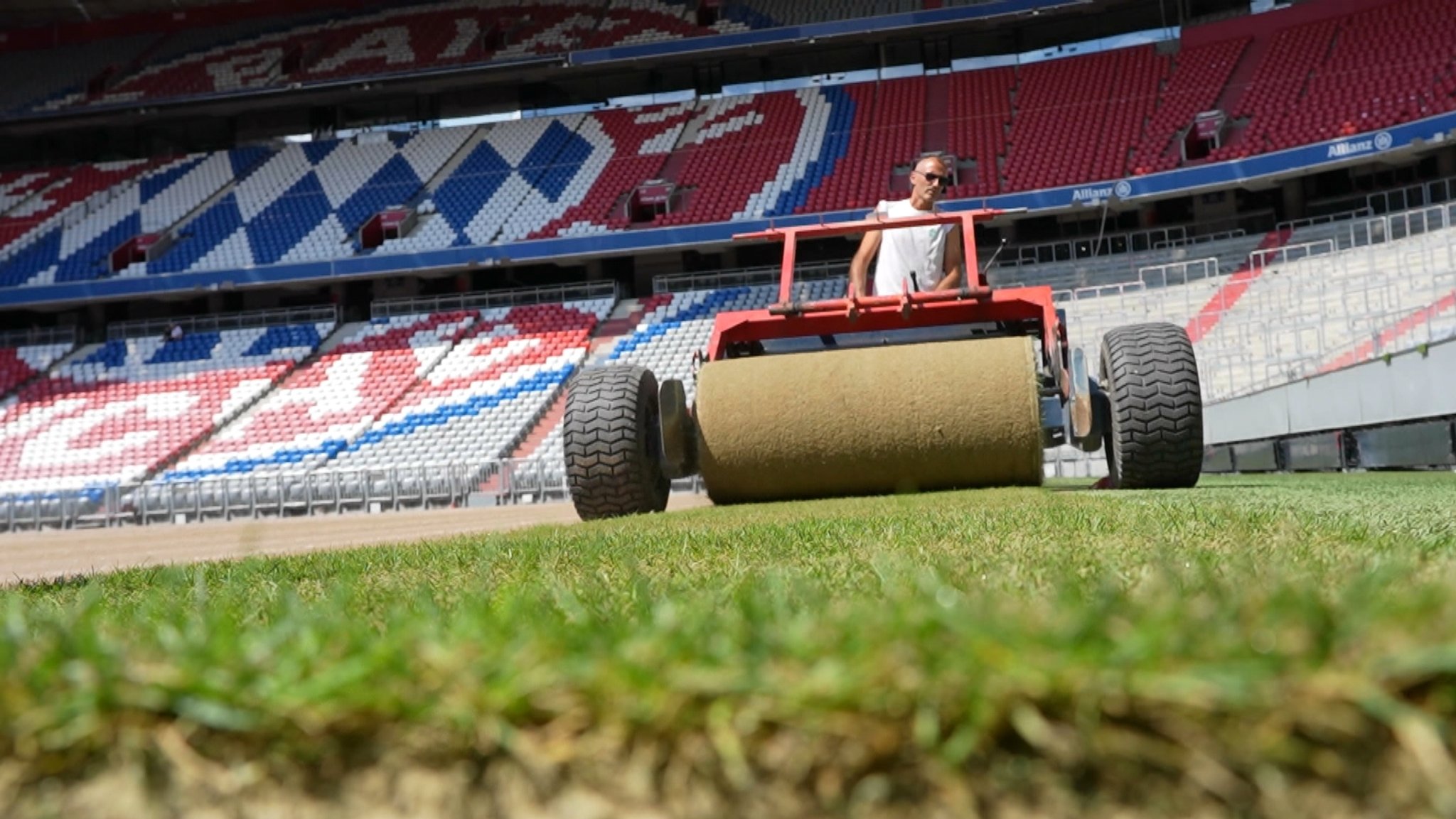 Der FC Bayern verlegt in der Allianz Arena einen neuen Rollrasen aus Mailand | Bild: BR Der FC Bayern verlegt in der Allianz Arena einen neuen Rollrasen aus Mailand