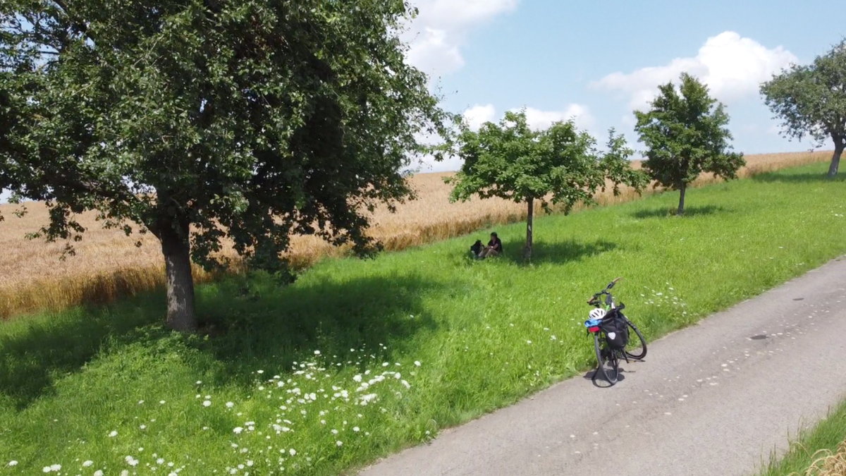 Felder und Wiese mit Obstbäumen, davor ein Radweg und ein bepacktes Fahrrad.
