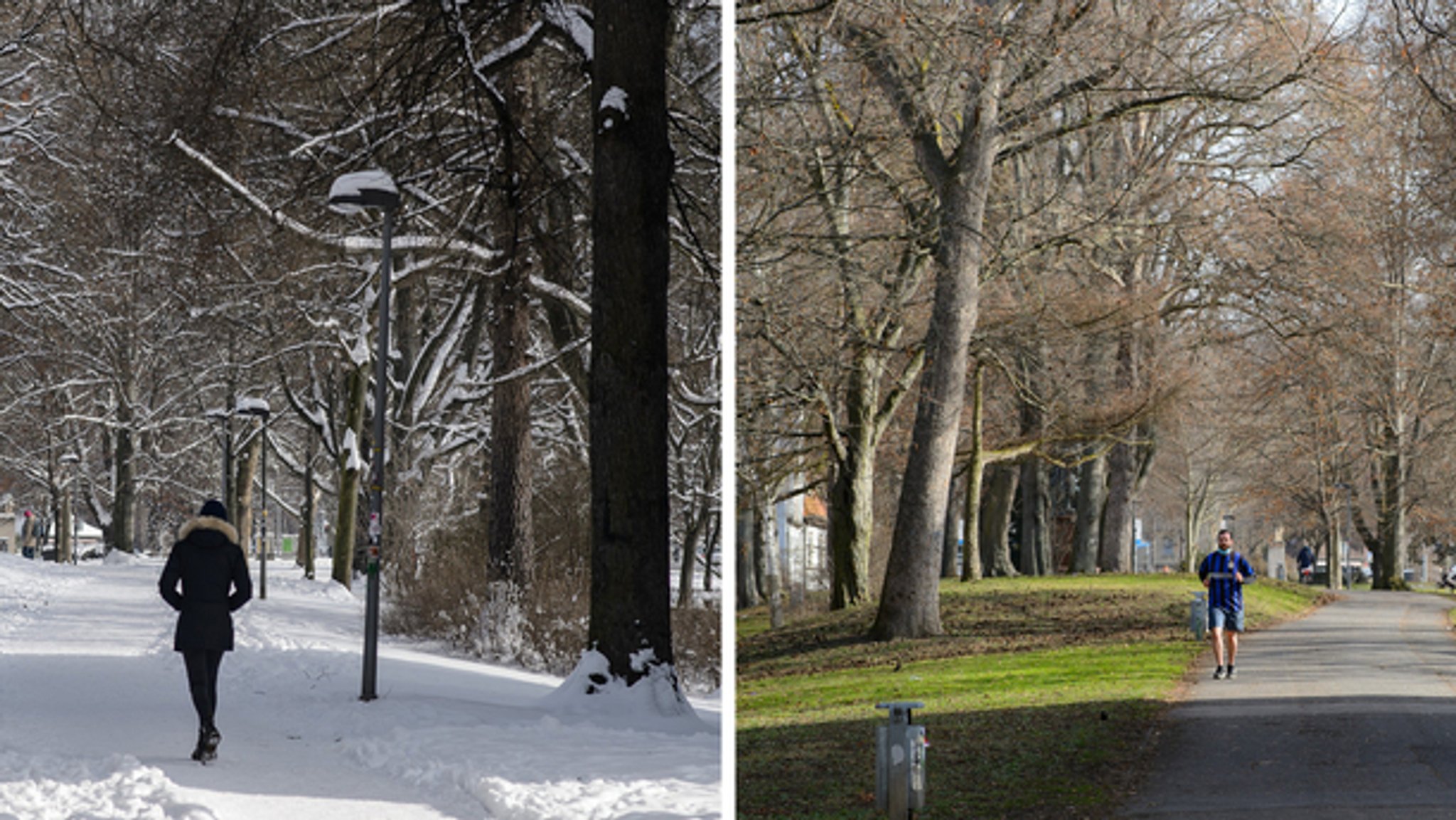 Eine Spaziergängerin geht am 10.02. 2021 über den verschneiten Göttinger Stadtwall. Am 23. 02.2021 läuft ein Jogger in Shorts an selber Stelle vorbei.