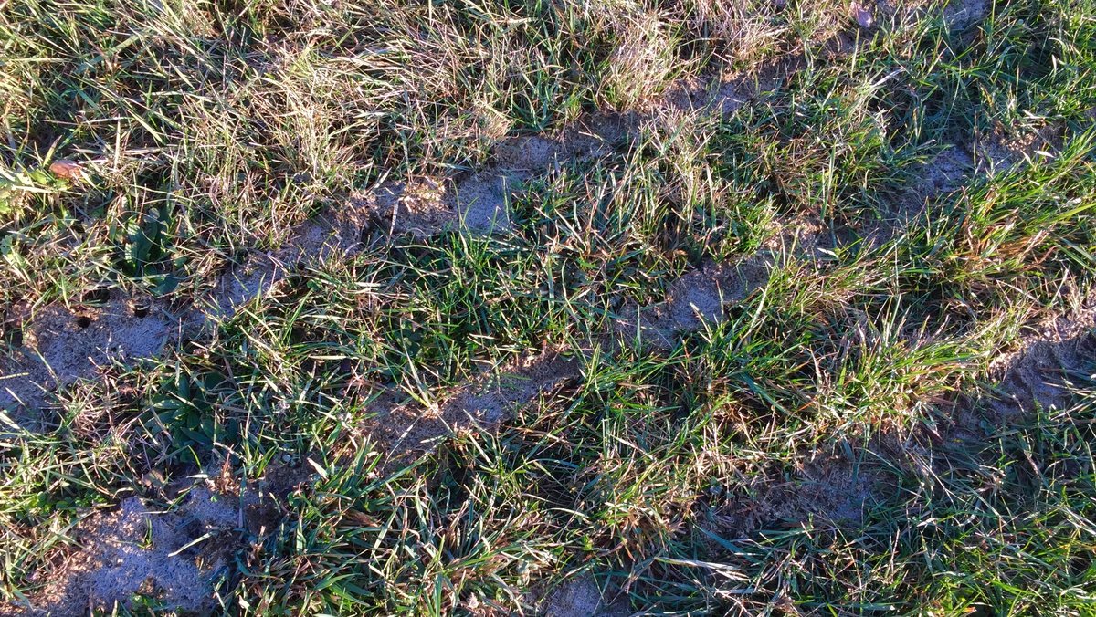 Öl, Sprit und Dünger - Was durch den Iran-Krieg teurer wird