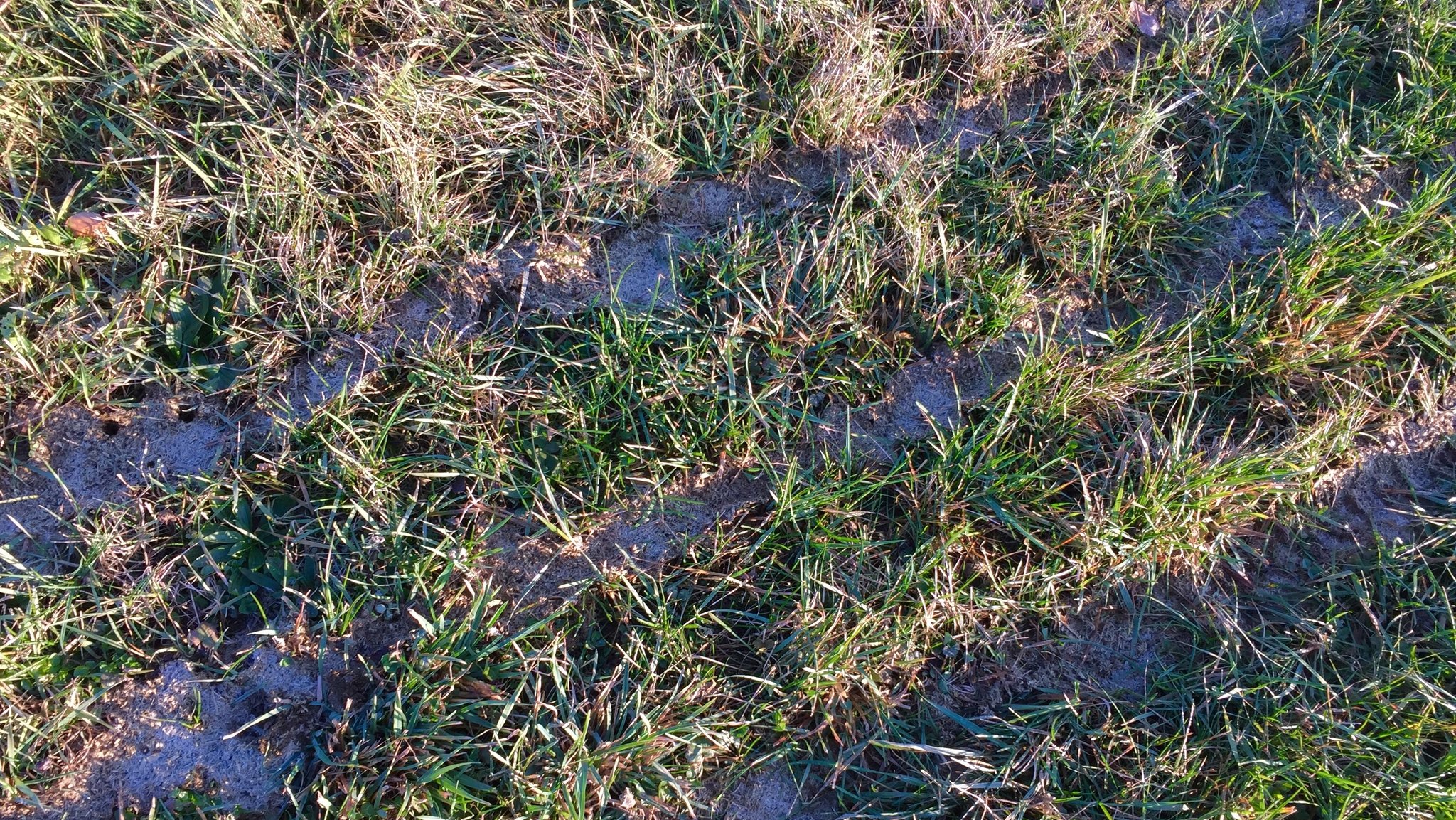 Öl, Sprit und Dünger - Was durch den Iran-Krieg teurer wird