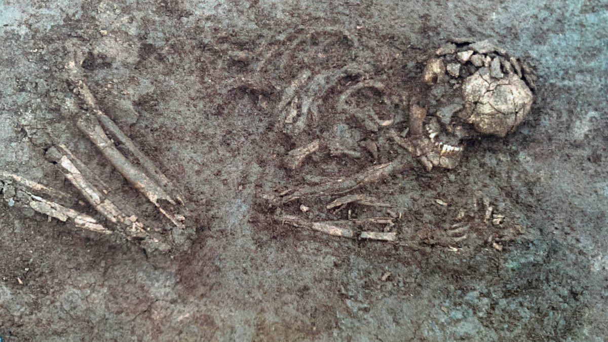 Skeletfund in einem bis zu 4.600 Jahre alten Grab bei Bergrheinfeld