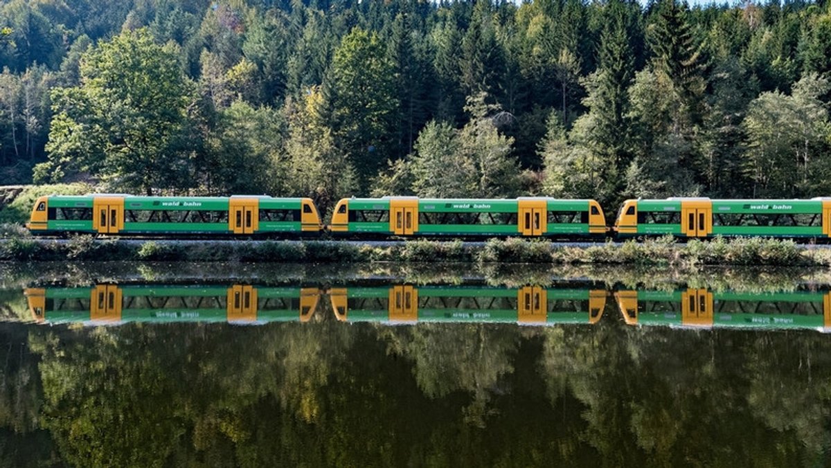 Die Waldbahn fährt an einem Gewässer vorbei