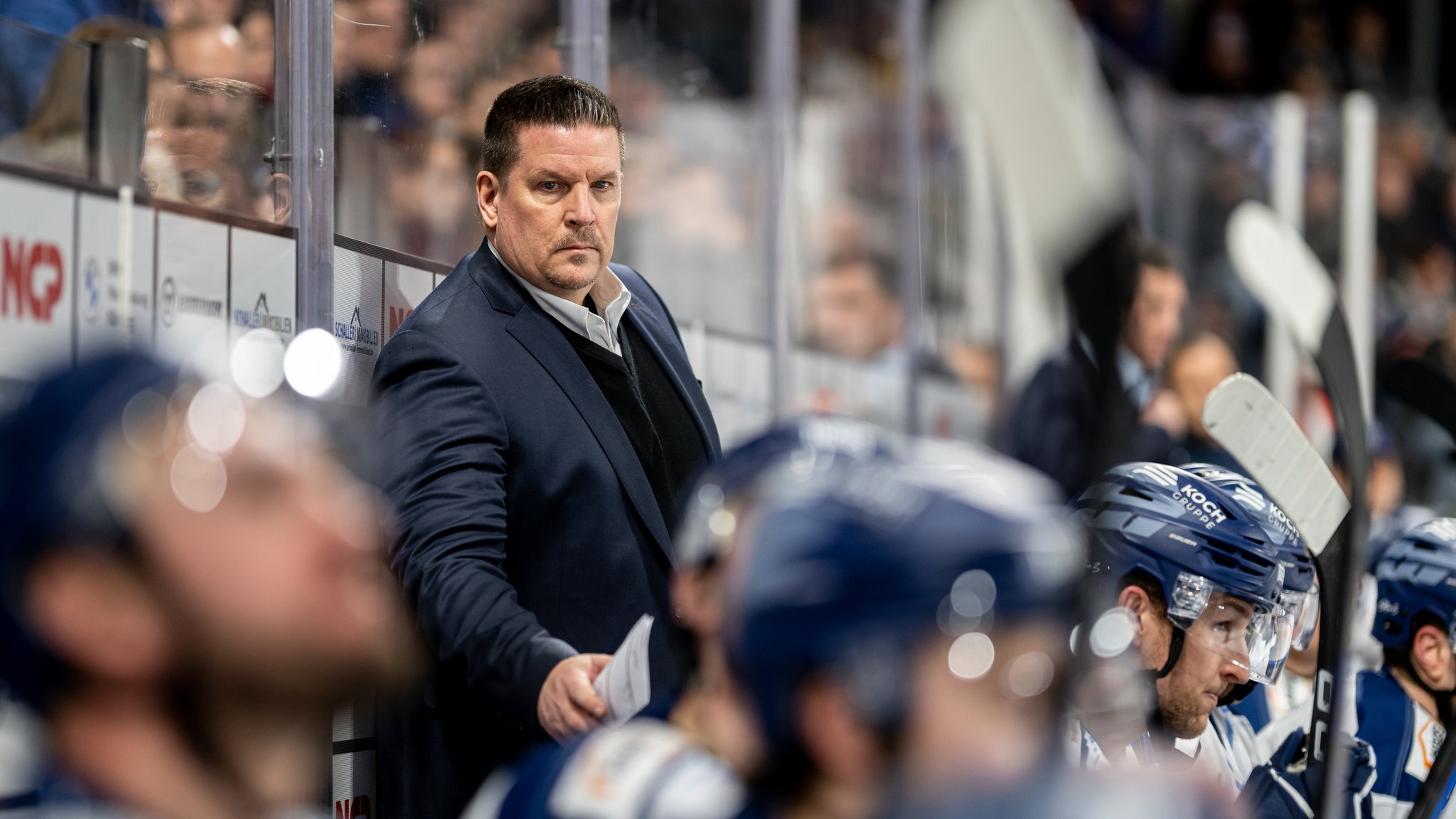 DEL: Tom Pokel bleibt Trainer der Straubing Tigers