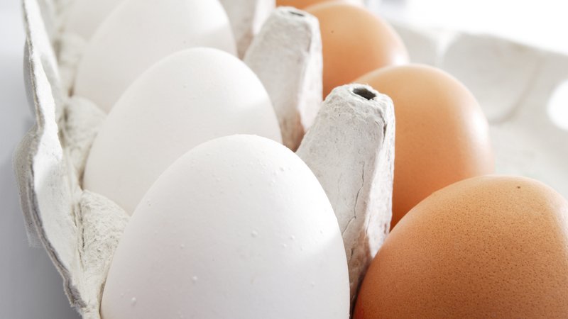 Eier im Eierkarton | Bild: MEV/Creativstudio Eier im Eierkarton