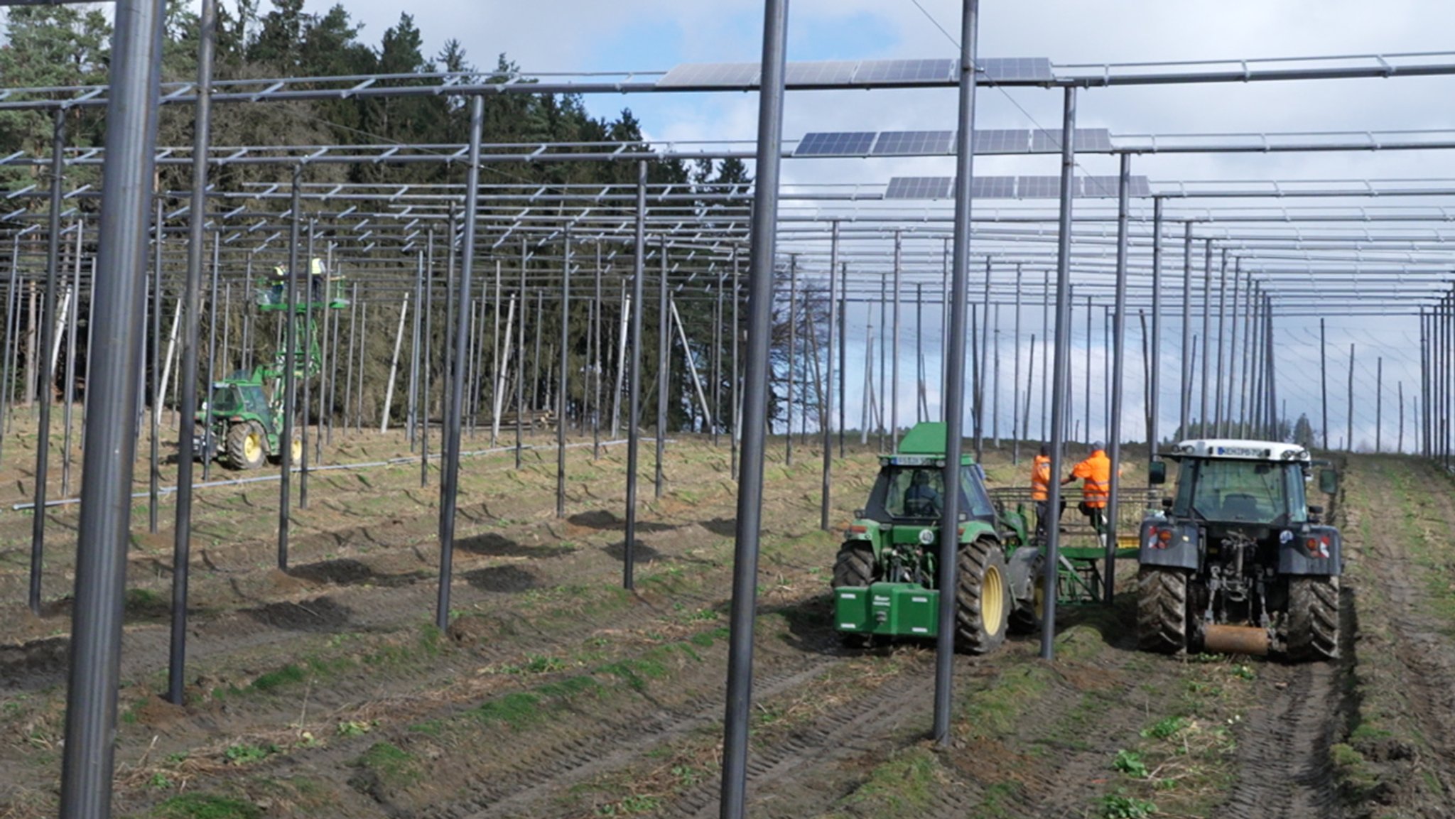 Pilotprojekt in der Hallertau: Solar-Strom und Hopfen auf einer Fläche ernten