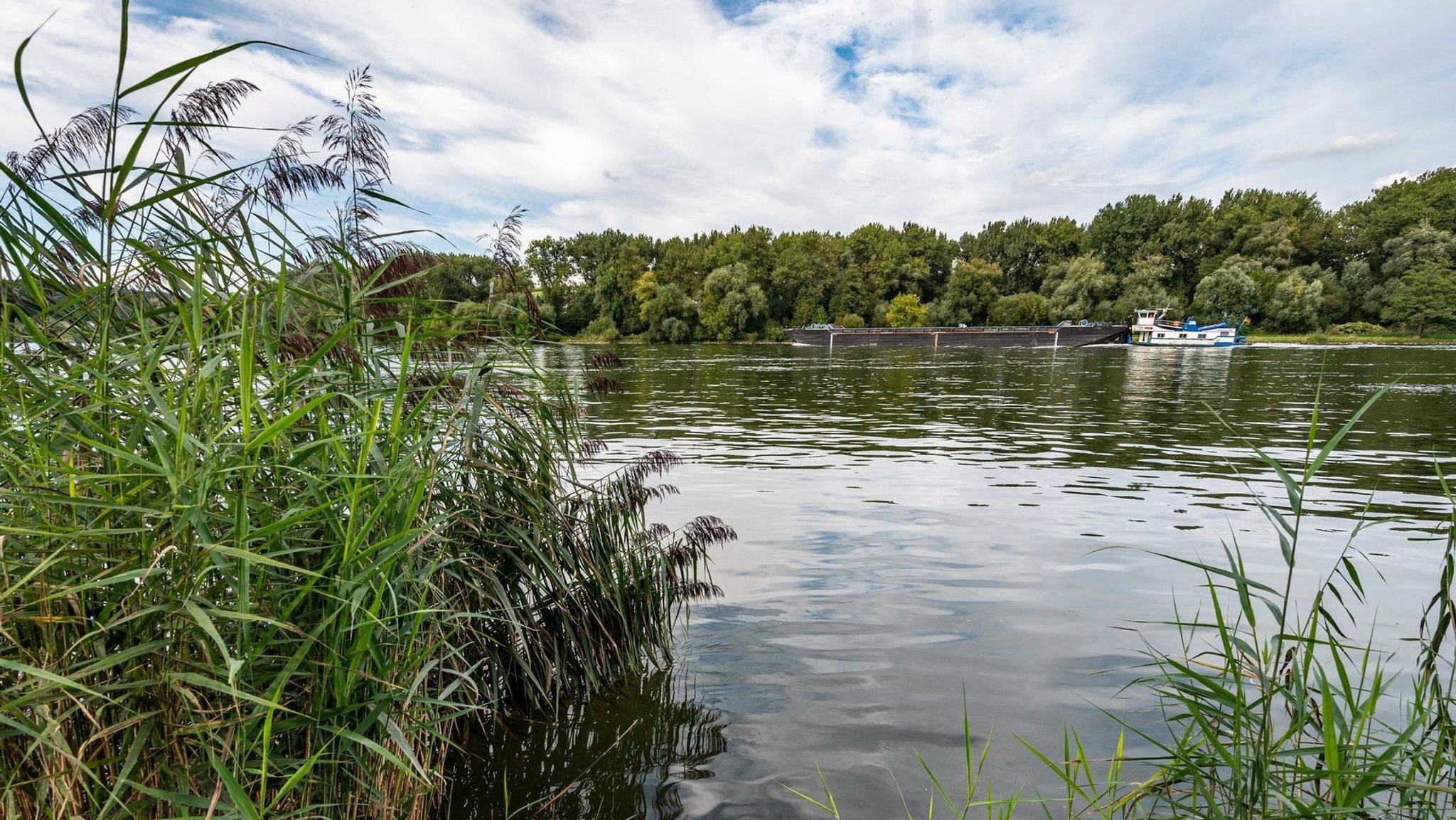 Blick auf die Donau