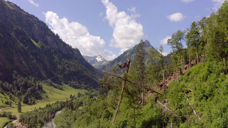 Bergwald unter Druck: In den bayerischen Alpen.