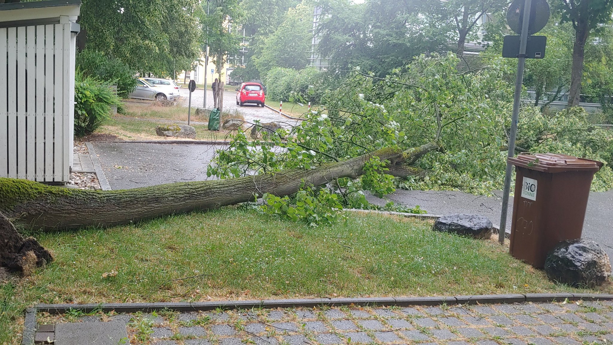 Unwetter in Bayern: Bäume stürzen um, Zugverkehr beeinträchtigt