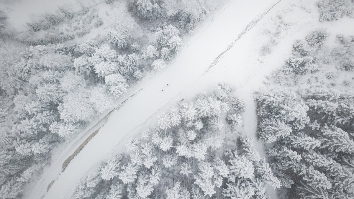 Schön weiß eingezuckert ist die Snowfarming Loipe - Dank des Schneefalls kurz vor dem Saisonstart.