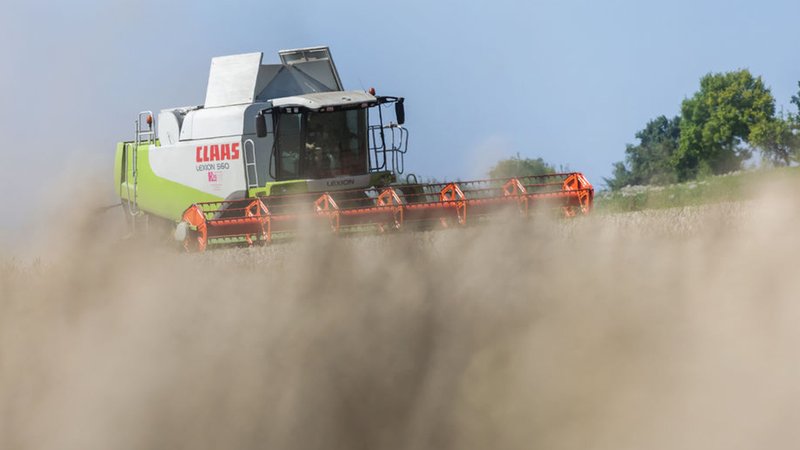 10.08.2025, Baden-Württemberg, Altheim: Ein Mähdrescher ist in einem Feld mit Weizen unterwegs. | Bild: dpa-Bildfunk/Thomas Warnack 10.08.2025, Baden-Württemberg, Altheim: Ein Mähdrescher ist in einem Feld mit Weizen unterwegs.