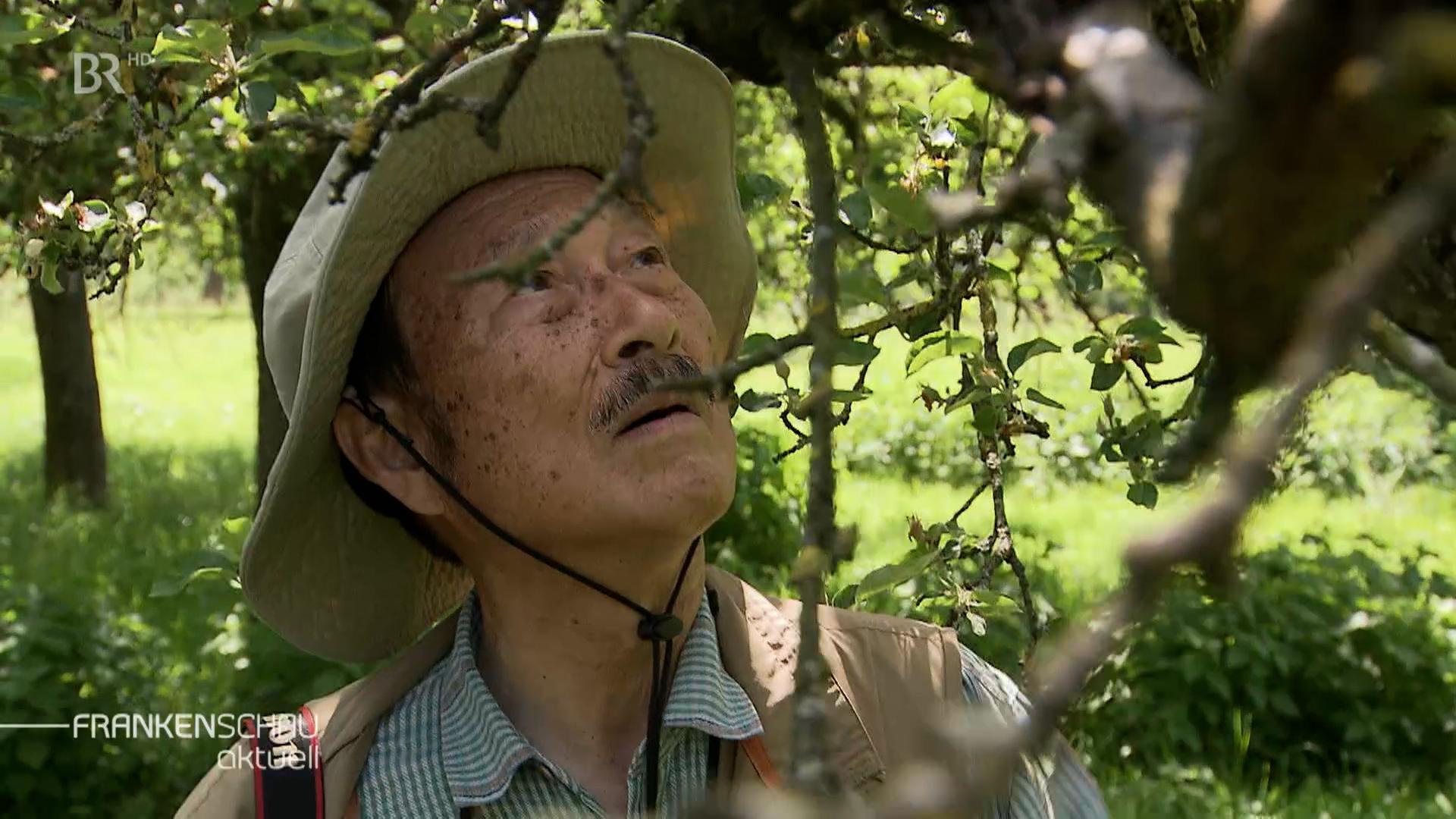 Ein Naturschützer aus Japan bestaunt eine Streuobstwiese in Franken.