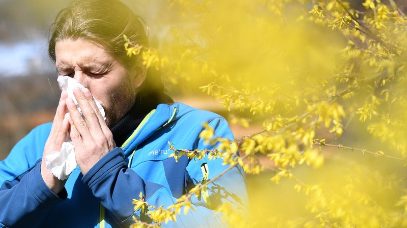 Ein Mann mit Heuschnupfen und Taschentuch vor seiner Nase steht neben einem blühenden Strauch (Symbolbild). | Bild: pa/dpa/Angelika Warmuth Ein Mann mit Heuschnupfen und Taschentuch vor seiner Nase steht neben einem blühenden Strauch (Symbolbild).