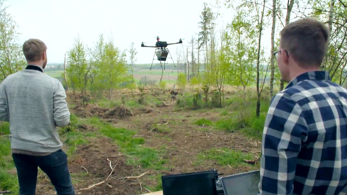 Waldsaat aus der Luft: Erster Versuch mit Drohnen scheitert