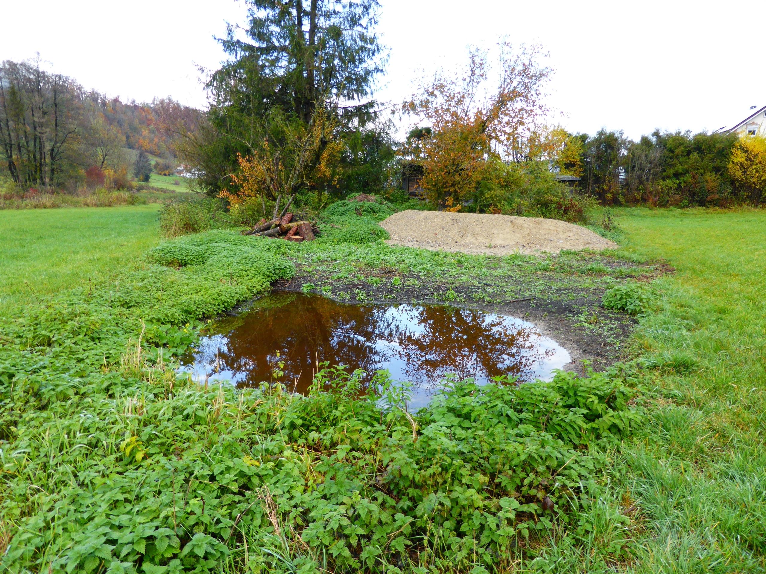 Kleiner Tümpel, Sandhaufen, Blumenwiese, Brachfläche und Totholz