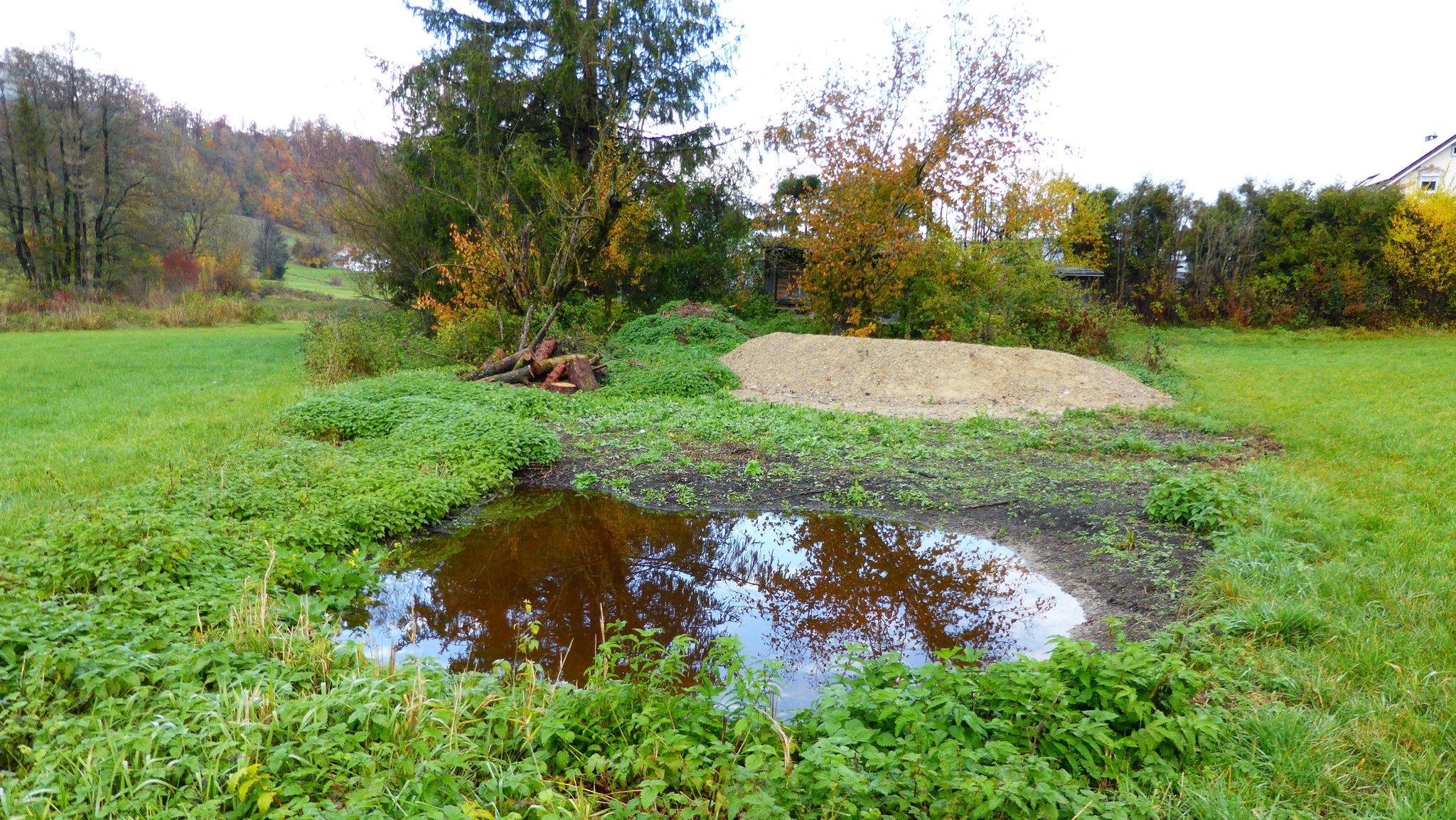 Kleiner Tümpel, Sandhaufen, Blumenwiese, Brachfläche und Totholz