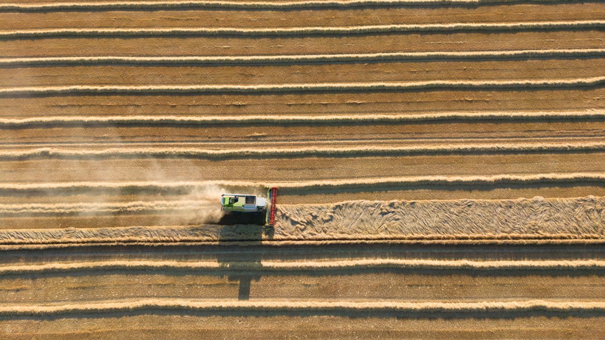Ein Landwirt erntet Weizen