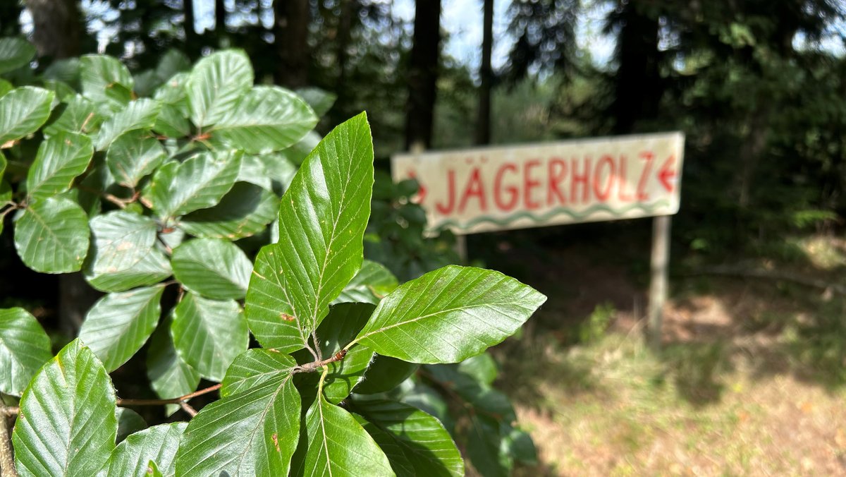 "Jägerholz" am Rande von Passau