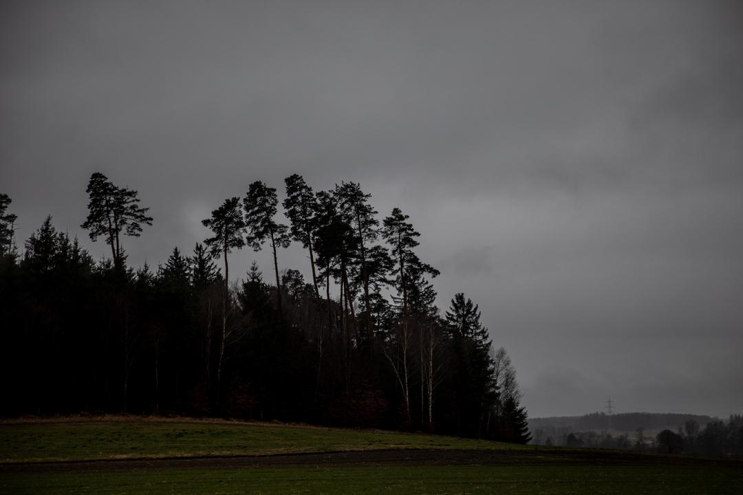 Landschaft mit Wald und Regenwolken (Symbolbild)