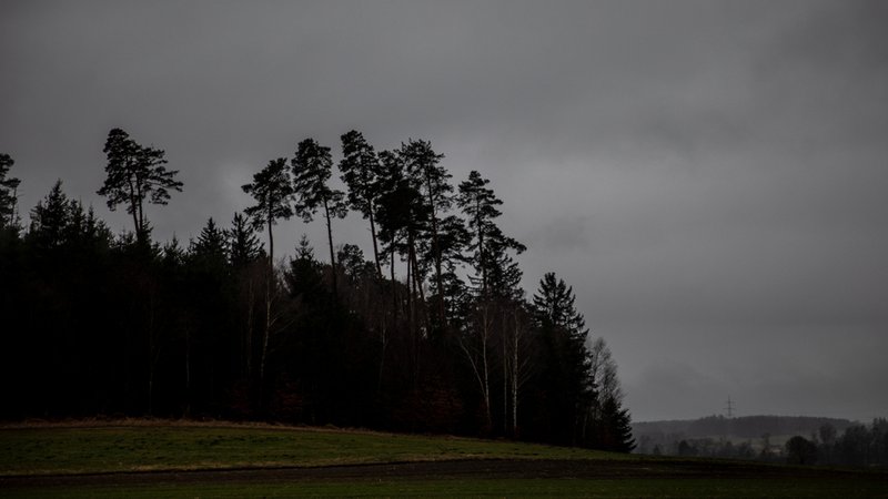 Landschaft mit Wald und Regenwolken (Symbolbild) | Bild: BR/Johanna Schlüter Landschaft mit Wald und Regenwolken (Symbolbild)
