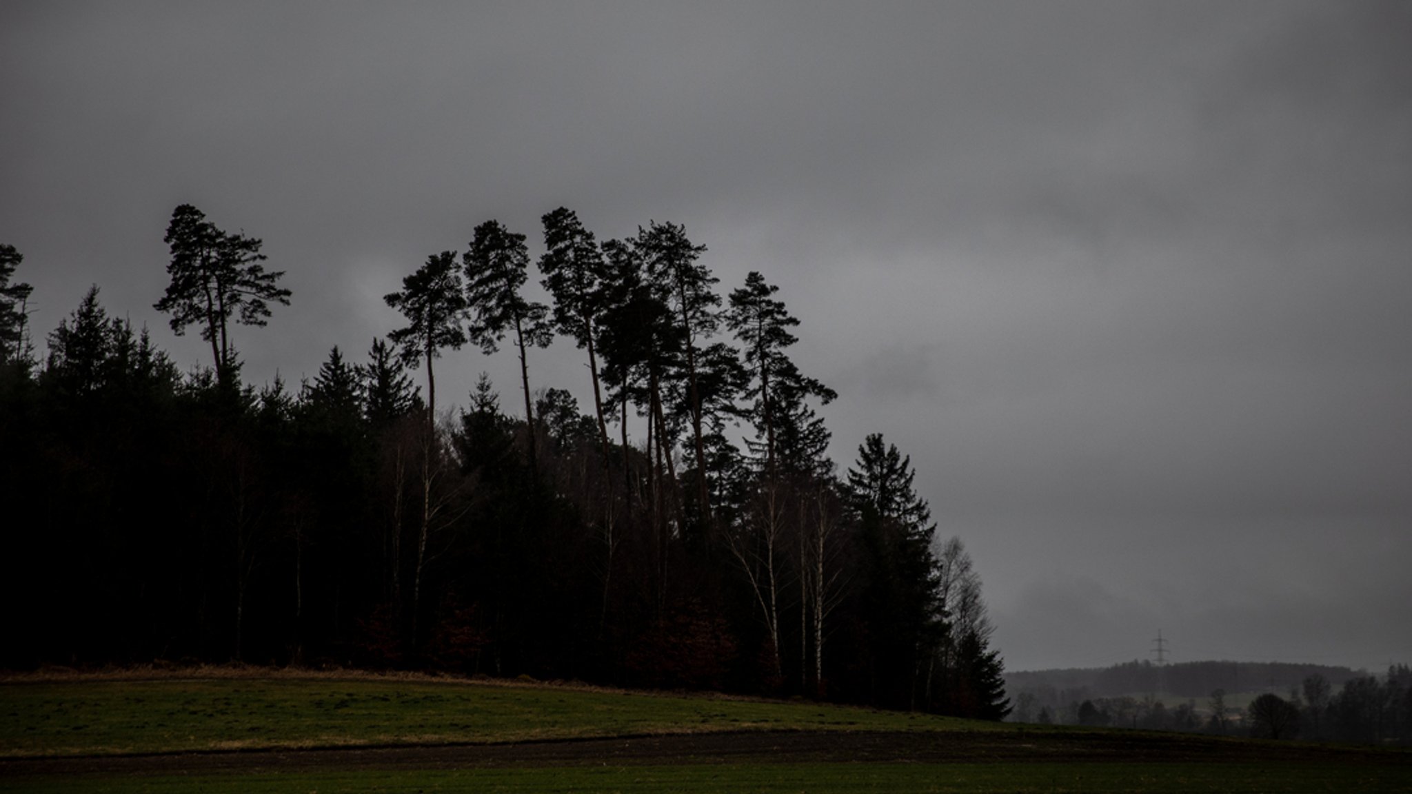 Landschaft mit Wald und Regenwolken (Symbolbild)