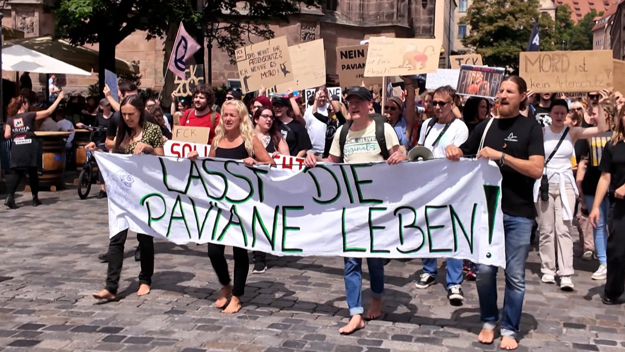 In Nürnberg haben am Samstag rund 250 Menschen gegen den geplanten Abschuss der Paviane im Nürnberger Tiergarten protestiert. | Bild: BR In Nürnberg haben am Samstag rund 250 Menschen gegen den geplanten Abschuss der Paviane im Nürnberger Tiergarten protestiert.