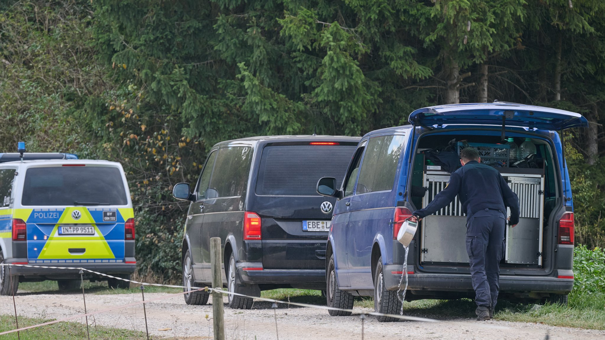 Streift ein Puma durch Oberbayern? Was bisher bekannt ist