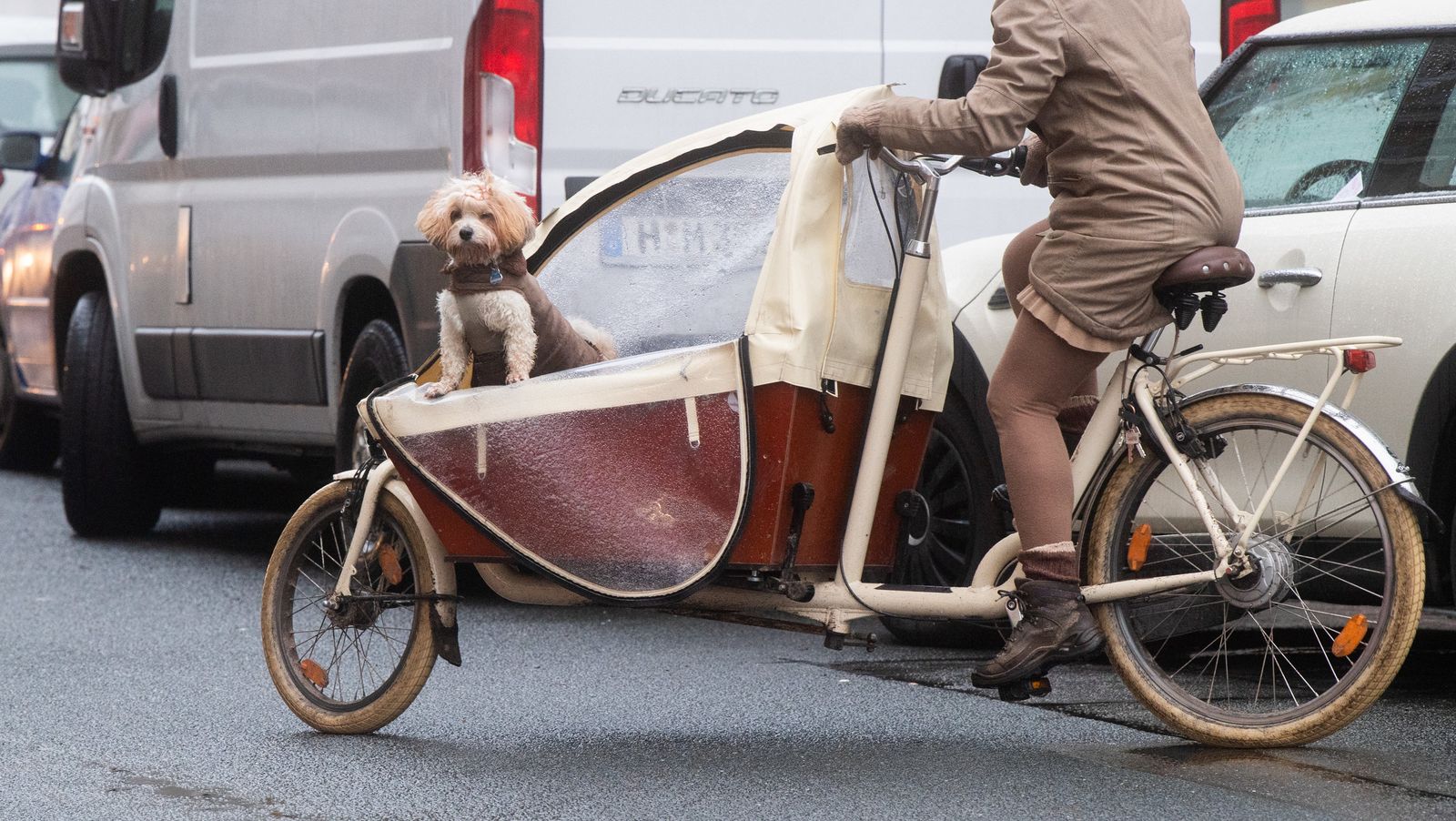 Transporter mit Pedalen Lastenfahrräder boomen BR24