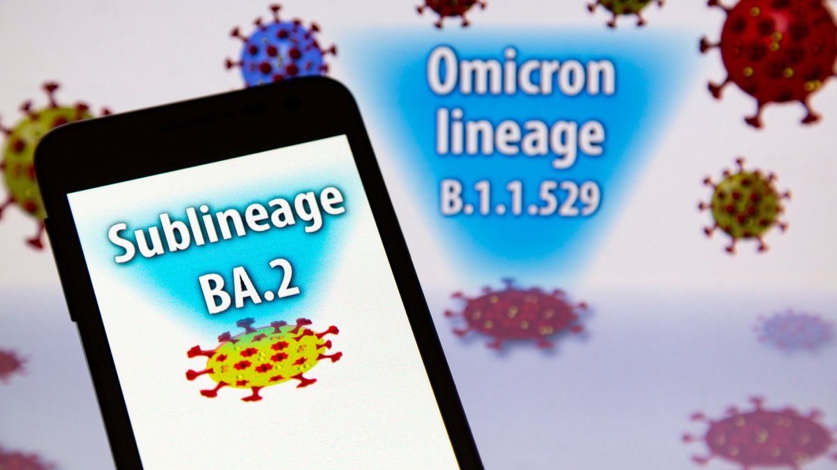 Text ''Sublineage BA.2'' auf einem Smartphone vor Text ''Omicron lineage B.1.1.529'' und Abbildungen von Coronaviren