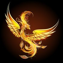 Mythos Phoenix - Feuer, Asche, Wiedergeburt | Bild: colourbox.com