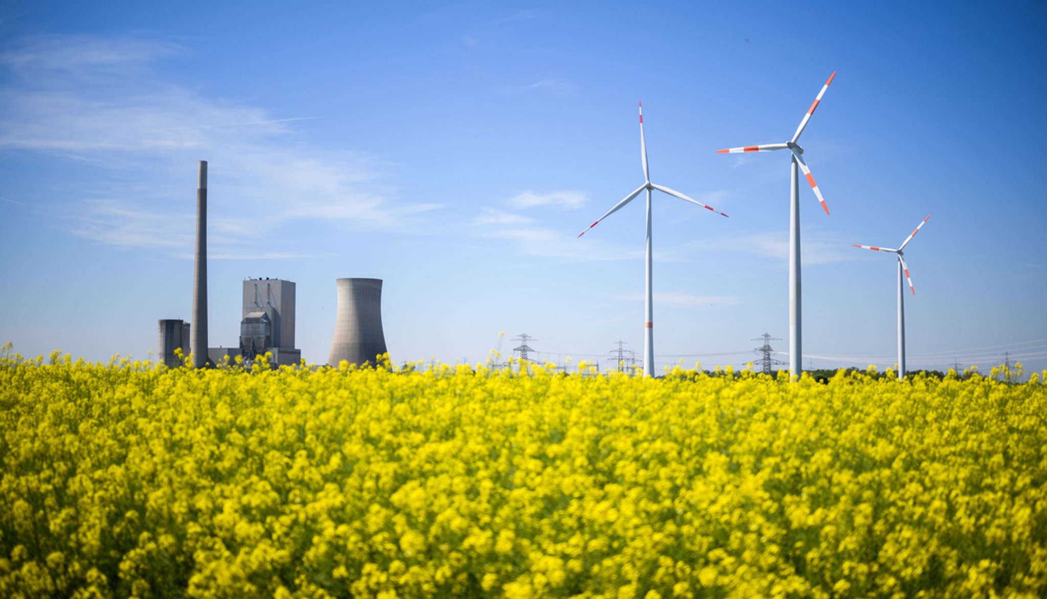 Kohlekraftwerk und Windränder nebeneinander. | Bild: Julian Stratenschulte/dpa Kohlekraftwerk und Windränder nebeneinander.