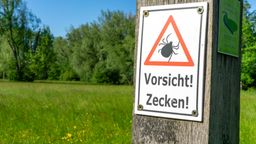 Schild mit der Aufschrift "Vorsicht! Zecken!" auf einer grünen Wiese (Symbol- und Archivbild) | Bild:picture alliance / Jochen Tack | Jochen Tack