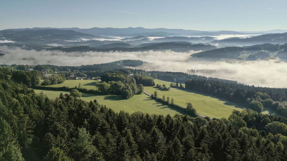 Blick auf den Bayerischen Wald. | Bild:BR/Maximilian Papp