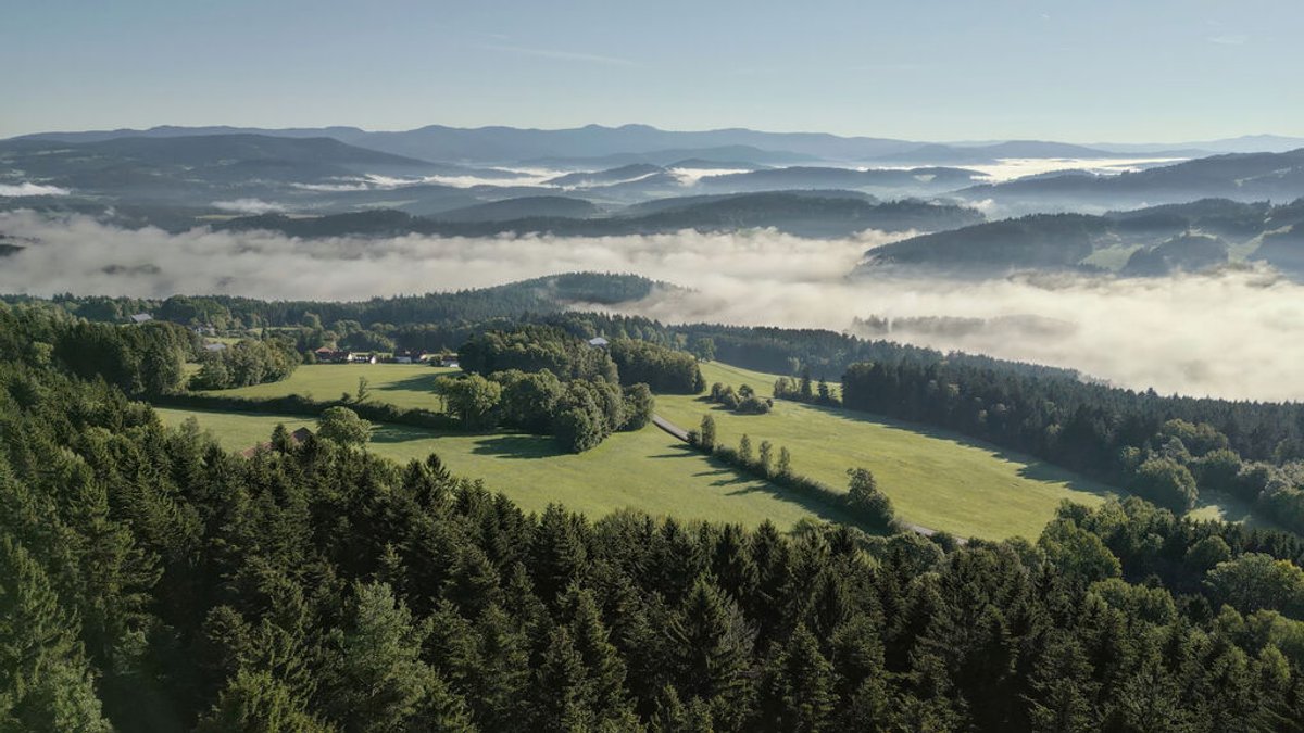 Blick auf den Bayerischen Wald.