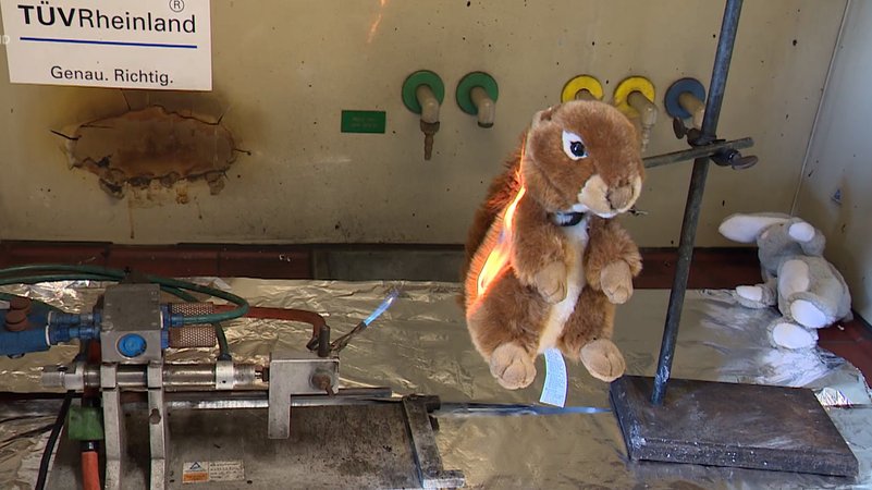 Sicherheitstest bei Spielzeug mit KI. | Bild: BR-Studio Franken Sicherheitstest bei Spielzeug mit KI.