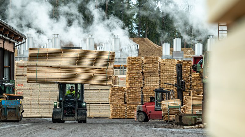 Holzbretter liegen auf dem Gelände des Sägewerks der Ziegler Group in Plößberg. | Bild: picture alliance/dpa/Armin Weigel Holzbretter liegen auf dem Gelände des Sägewerks der Ziegler Group in Plößberg.