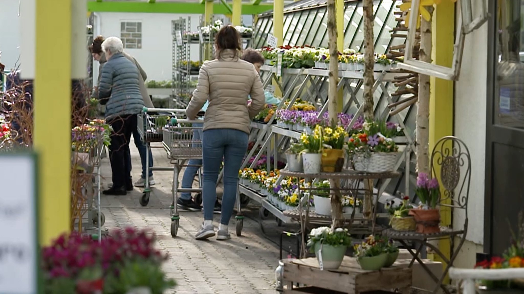 Frühlingsgeschäft in Gärtnereien. 