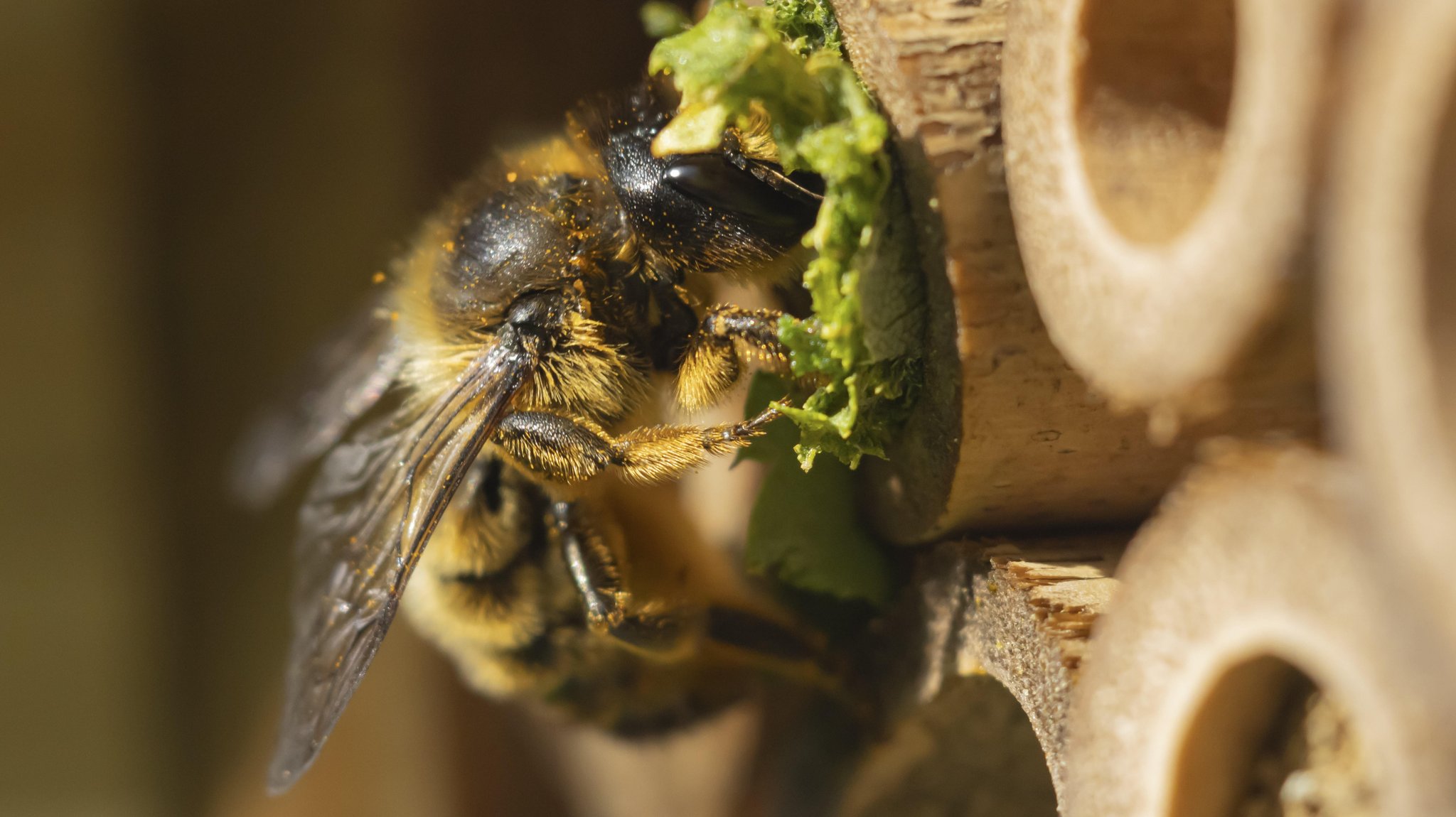 Haushaltssperre: Geht Bayern beim Naturschutz das Geld aus?