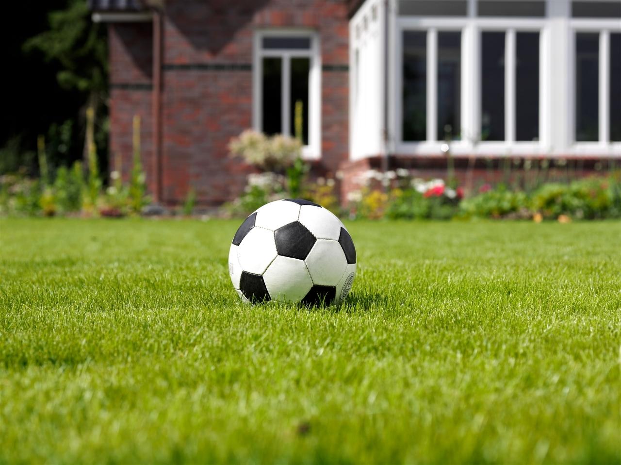 Symbol: Fußball auf Rasen
