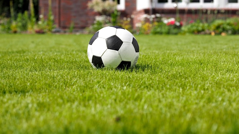 Symbol: Fußball auf Rasen