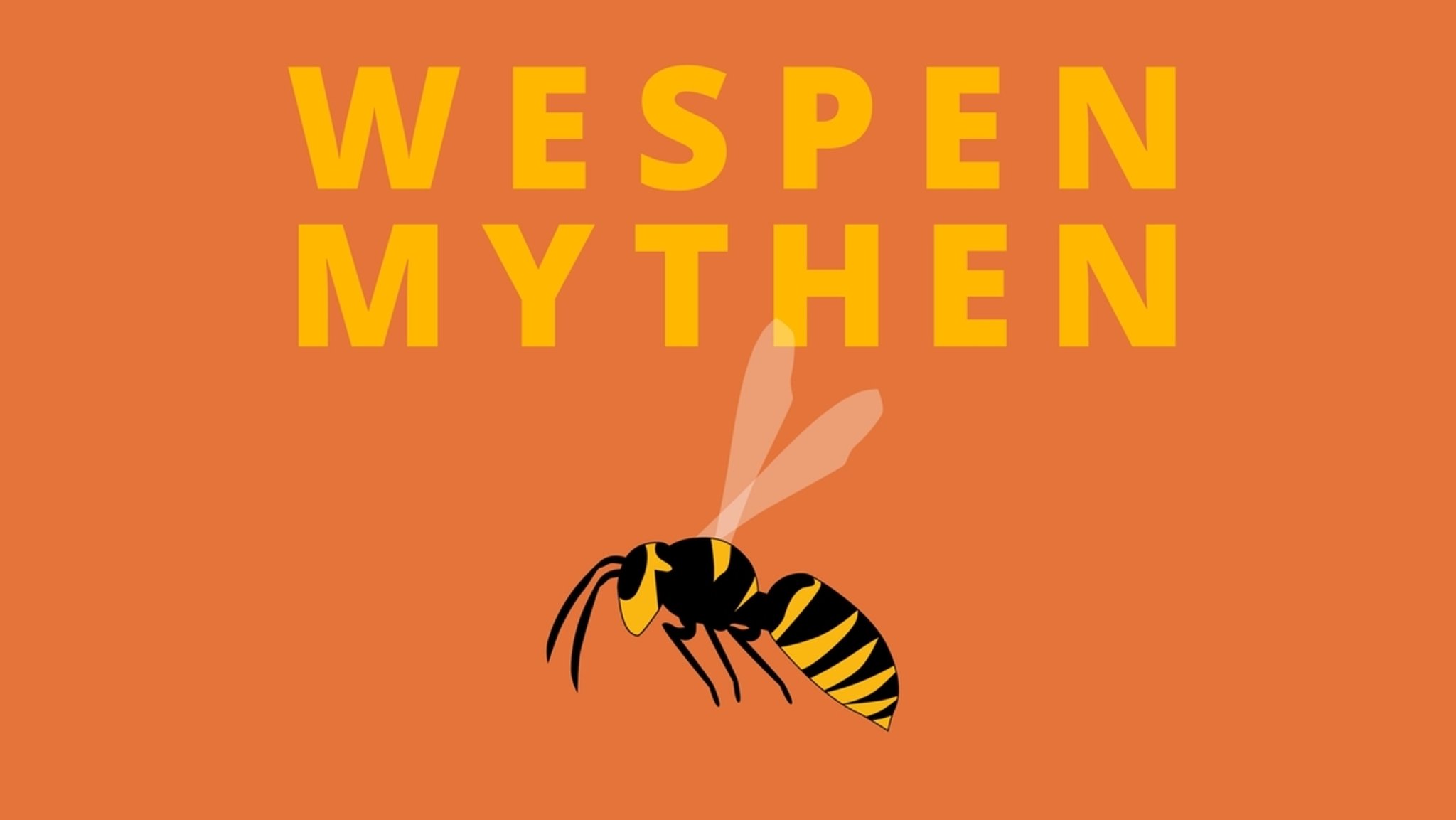 Wespen-Mythen