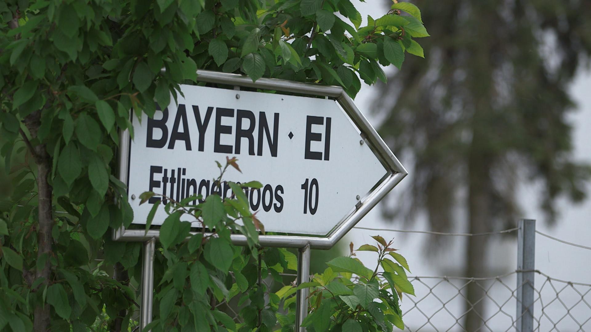 Neues zum BayernEiSkandal BR24