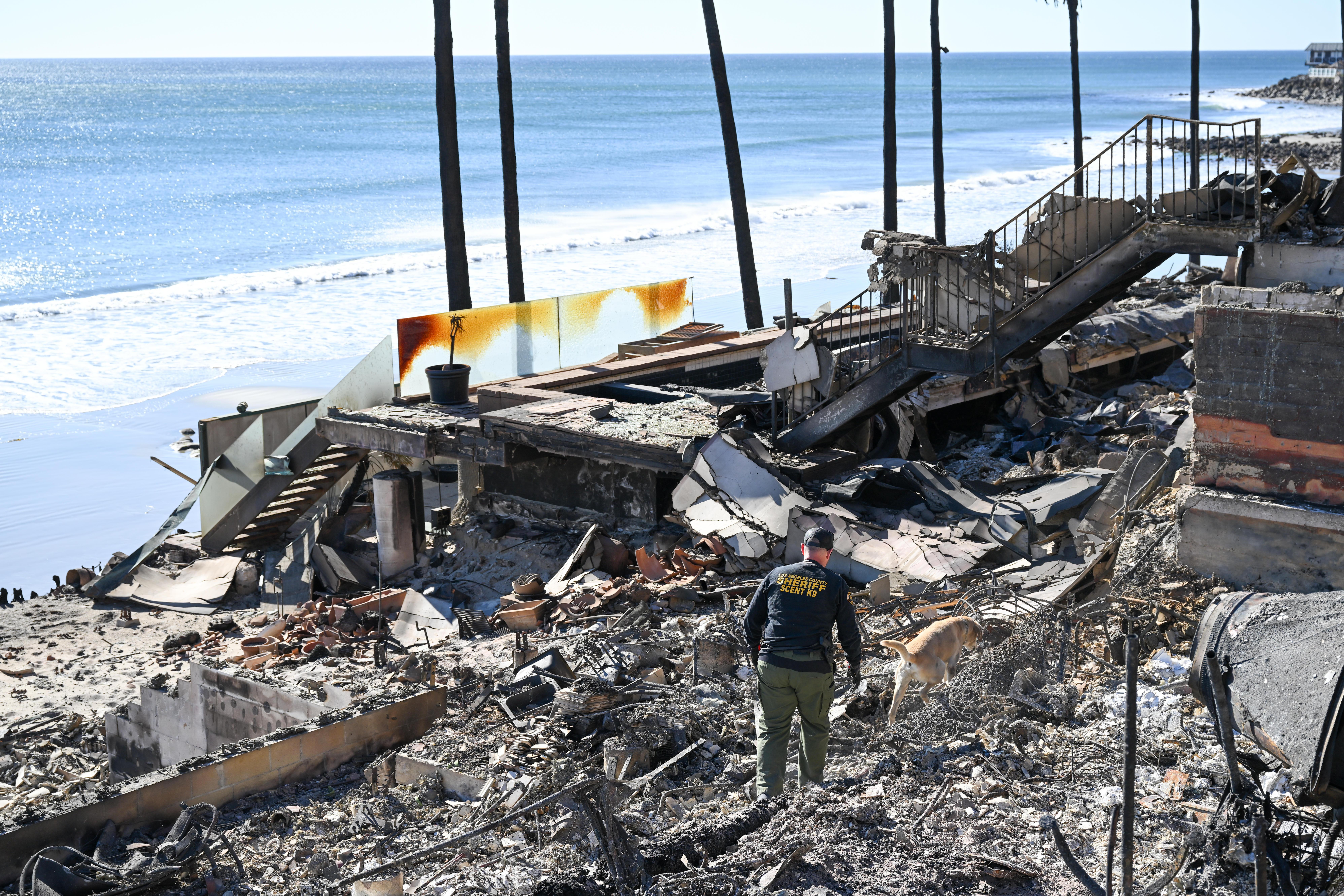 Leichenspürhunde durchsuchen vom Feuer zerstörte Häuser am Malibu Beach