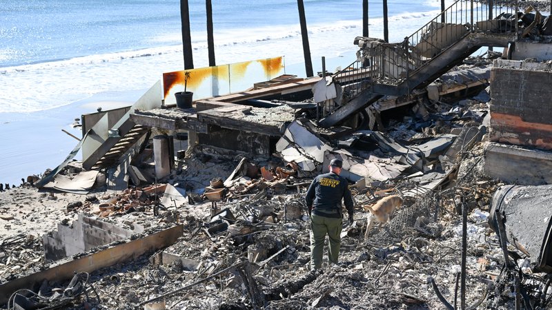 Leichenspürhunde durchsuchen vom Feuer zerstörte Häuser am Malibu Beach | Bild: picture alliance / Anadolu | Tayfun Coskun Leichenspürhunde durchsuchen vom Feuer zerstörte Häuser am Malibu Beach