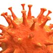 Borna-Virus in Pfaffenhofen - wie groß ist die Gefahr weiterer Infektionen? | Bild: stock.adobe.com/Andreas Prott