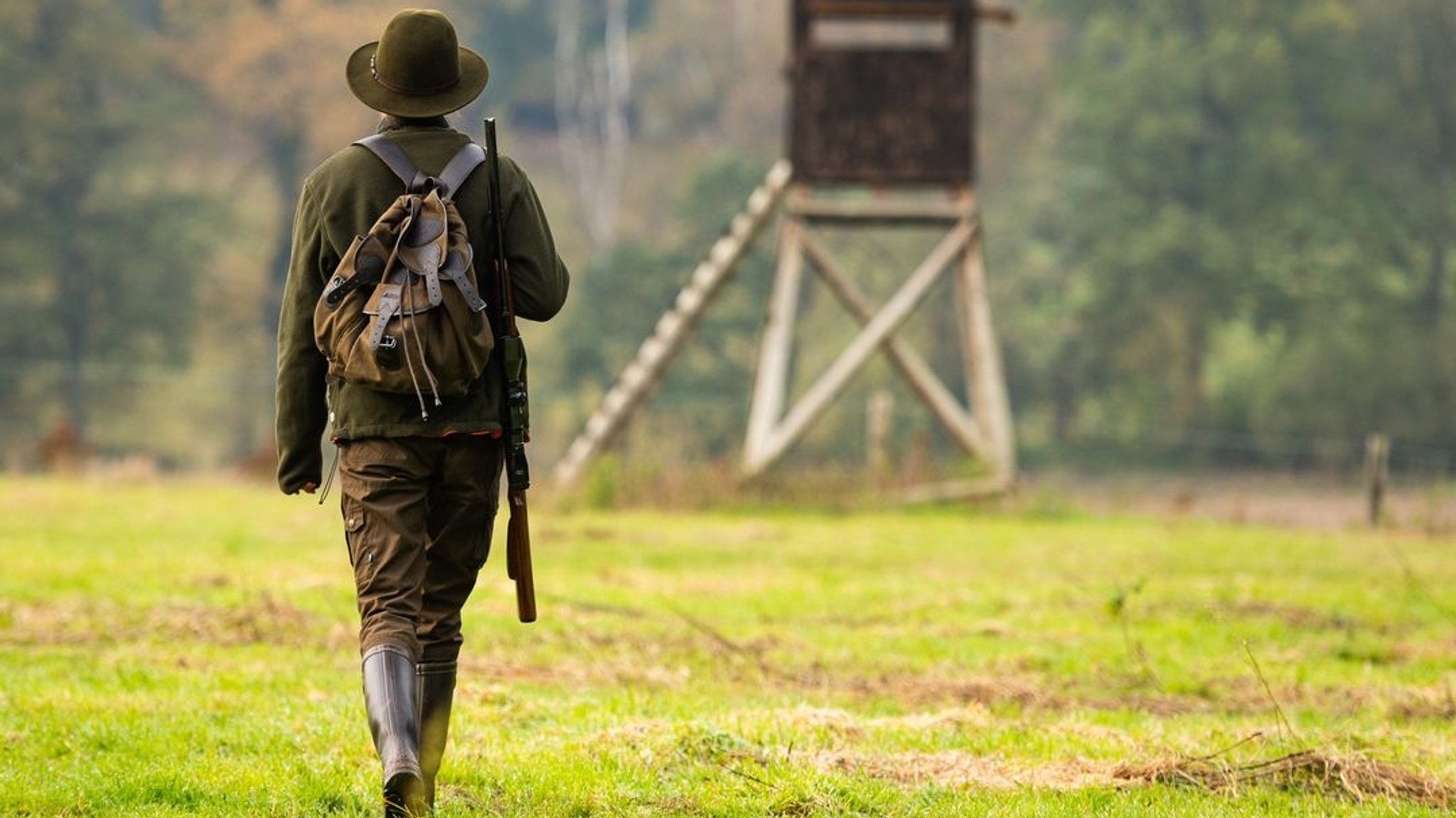 Ein Jäger spaziert über eine Wiese, im Hintergrund sieht man einen Hochsitz (Archiv- und Symbolbild) | Bild: dpa-Bildfunk/Philipp Schulze Ein Jäger spaziert über eine Wiese, im Hintergrund sieht man einen Hochsitz (Archiv- und Symbolbild)