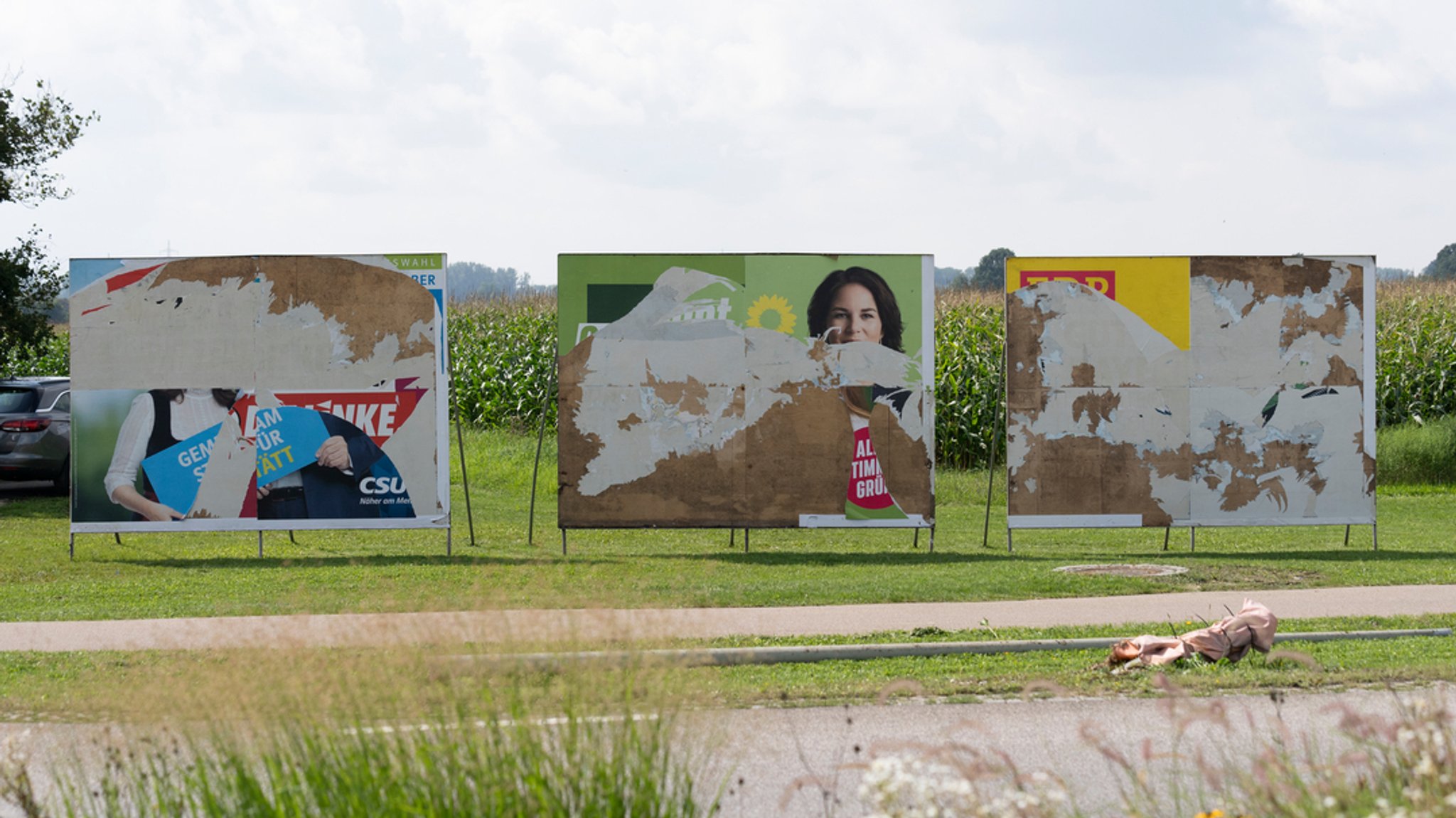 Abgerissene Plakate verschiedener Parteien auf einer Wiese. 